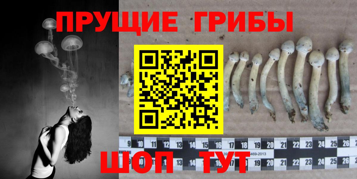 Псилоцибиновые грибы прущие грибы  Галлюциногенные грибы Psilocybine cubensis  Великий Новгород  Вход с VPN 